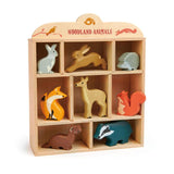 Wooden Animals in Shelves